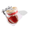 Dental mirror for photos, steel